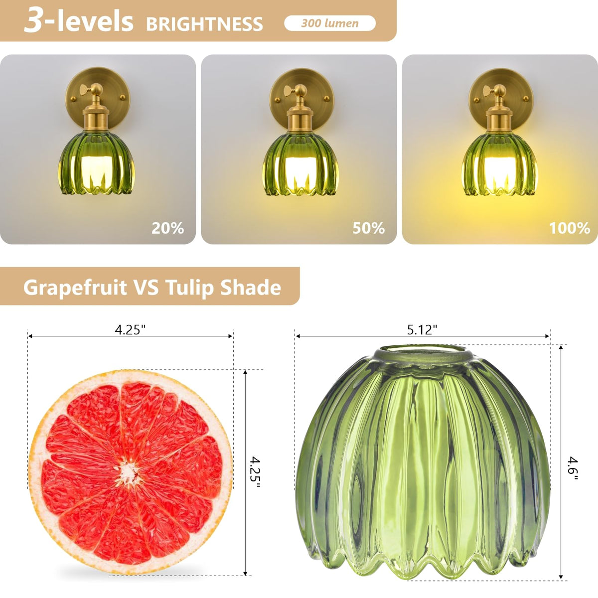 Ridalux 15 RGB colors offer personalized ambience for any room.