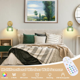 Ridalux rechargeable LED bulb with three color temperature options for mood lighting.