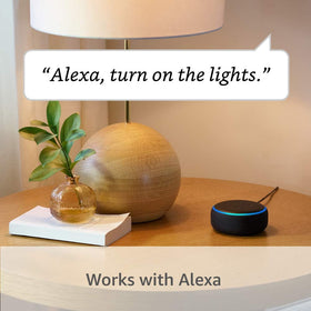 Ring Solar Pathlight weather-resistant design shown for outdoor placement.