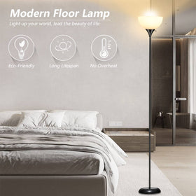RISLG standing lamp assembly, quick setup with simple instructions.