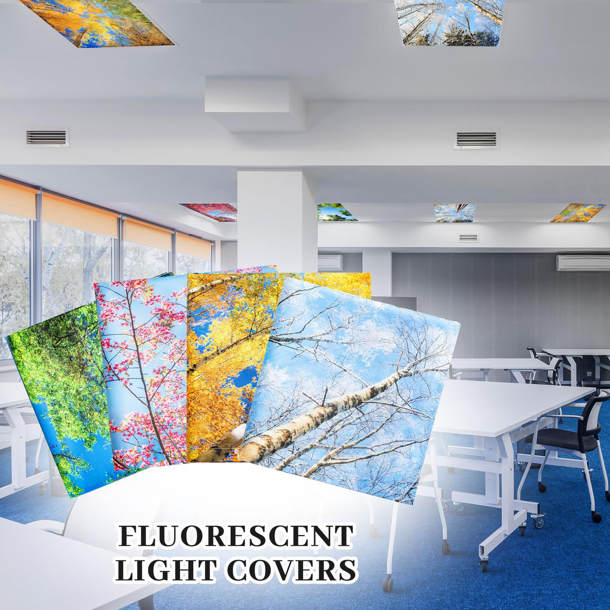 ROCEEI light covers in classroom setup improve comfort and focus