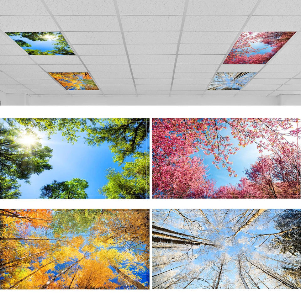 ROCEEI forest-pattern light cover on 2x4ft ceiling light softens glare for classrooms