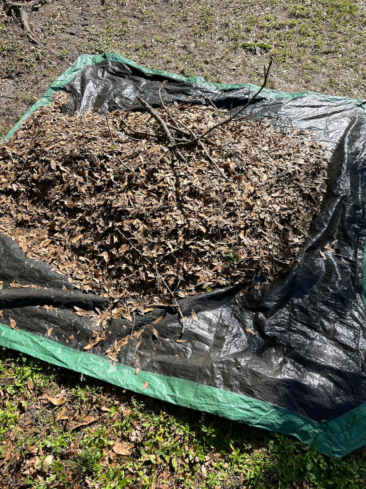Rocky Mountain Goods Drawstring Tarp with handles for dragging leaves.