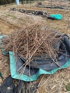 Rocky Mountain Goods Drawstring Tarp protecting outdoor furniture.