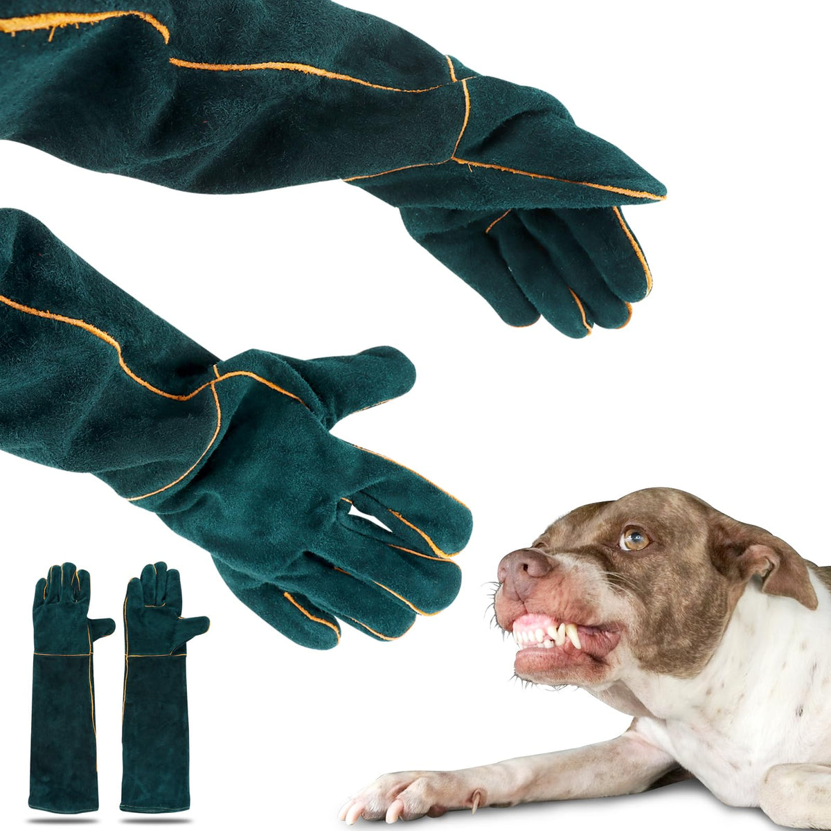 RODISHOMM dark green color adds a professional look and visibility during inspections.