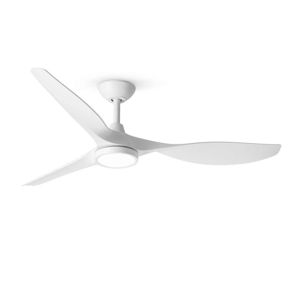 Roomratv ceiling fan with LED light delivering broad airflow for living spaces