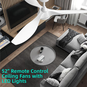 Roomratv quiet reversible DC motor enhances comfort in all seasons