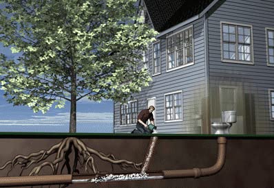 ROOTX eliminates tree root blockages in sewers