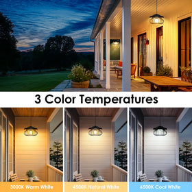 Ropelux Solar Shed Light with motion sensors detects activity for security lighting.