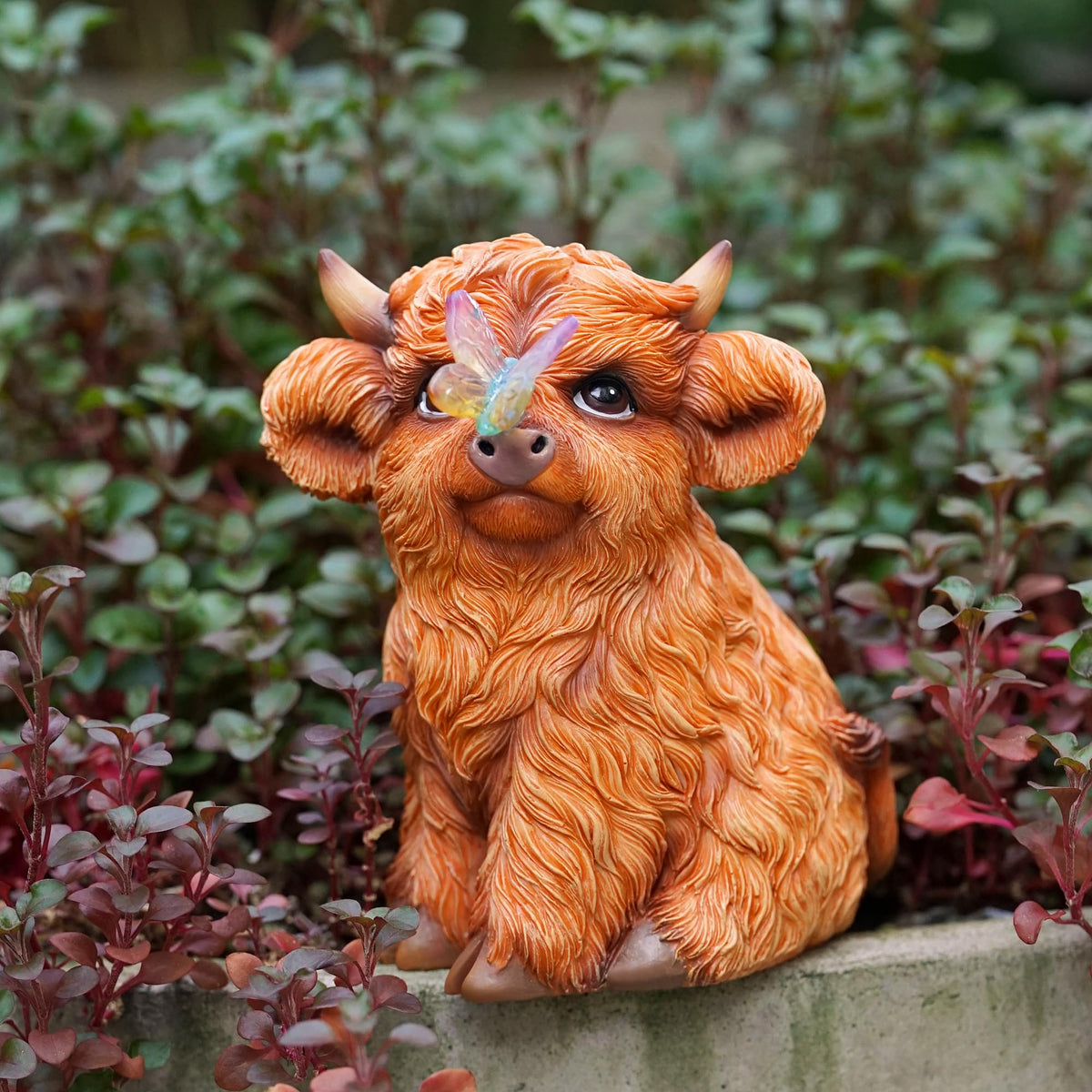 Roundot Highland Cow gift idea for birthdays or holidays