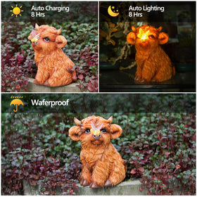 Roundot Highland Cow on patio shows friendly garden focal point