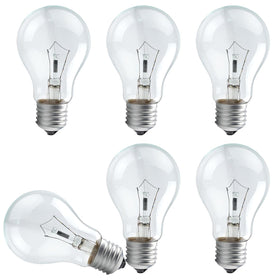 RUGACCG 100 W incandescent bulb in A19 base for reliable, bright room lighting.
