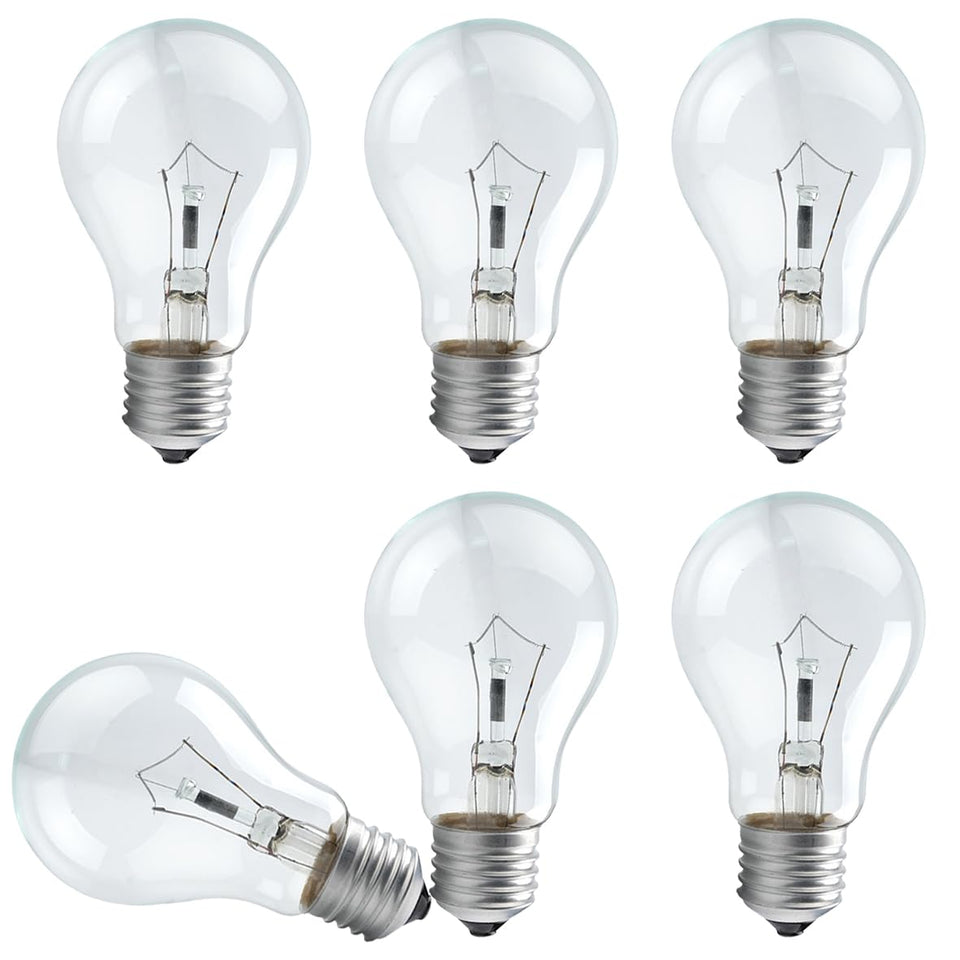 RUGACCG 100 W incandescent bulb in A19 base for reliable, bright room lighting.