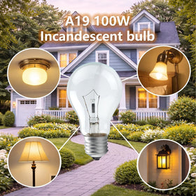 RUGACCG bulb in a workshop showing shatterproof housing and durability.