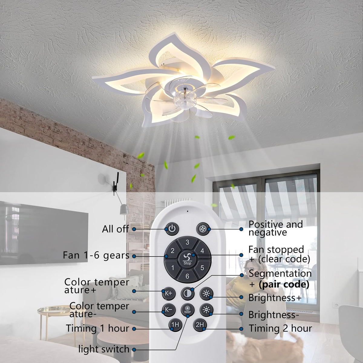 Ruibutrade remote and app control interface for six speeds and dimmable LED lighting.