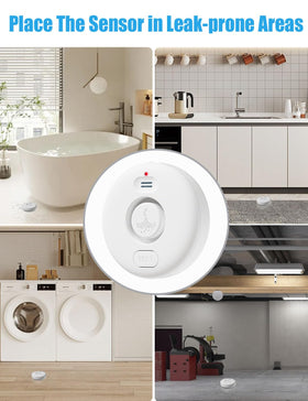 RUIKORING IP66-durable casing emphasizing dust and water resistance.