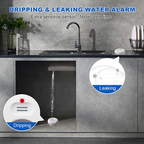 RUIKORING leak detector hub displaying central control for alerts