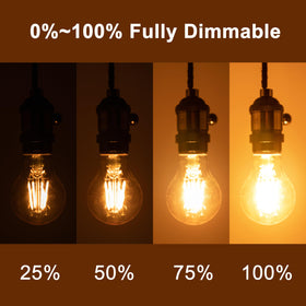Runquiz dimmable amber Edison bulb in a lamp for adjustable mood lighting.