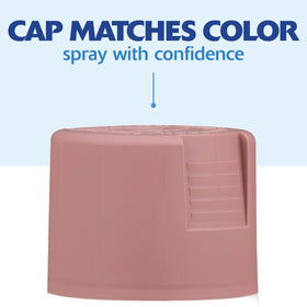 Rust-Oleum Painter's Touch 2X Satin Vintage Blush on masonry withstands weather.