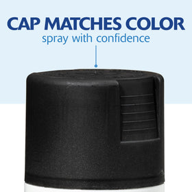 Rust-Oleum Painter's Touch 2X Ultra Cover durable finish on surfaces