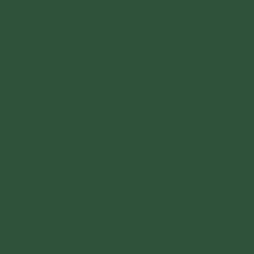 Rust-Oleum Stops Rust two-pack satin hunter green for outdoor projects.