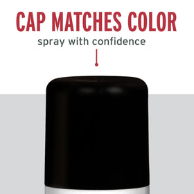Flat black rust-protection setup from Rust-Oleum Stops Rust Turbo Spray System
