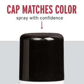 Rust-Oleum Stops Rust Turbo Spray System ideal for large metal and wood surfaces