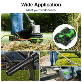 Ruzixt 56V battery in use powering garden tools.