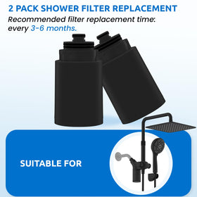 Ryamen filter components including KDF, red stone, carbon, calcium sulfite, and vitamin C for effective filtration.