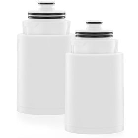 Ryamen 2-pack shower head filter close-up showing KDF balls and media for chlorine reduction