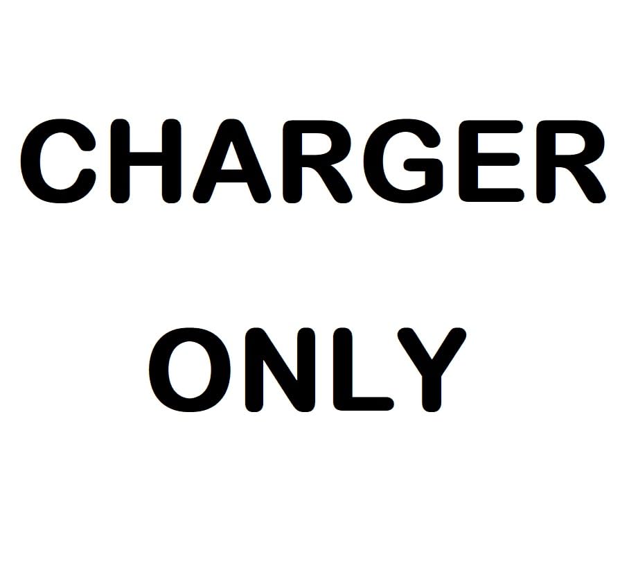 Ryobi 40V Lithium-Ion Rapid Charger side view highlights slim profile for storage.
