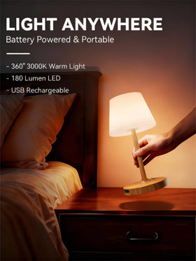 SAIWEYA lamp includes USB power bank to recharge devices