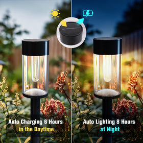 SAKSIAPRO matte-black sleek design light blending with landscape while lighting a walkway.
