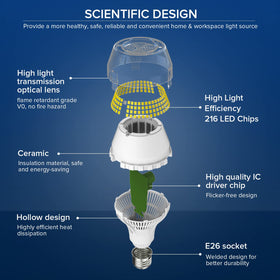 SANSI 5000K daylight glow provides clear, natural lighting for living spaces.