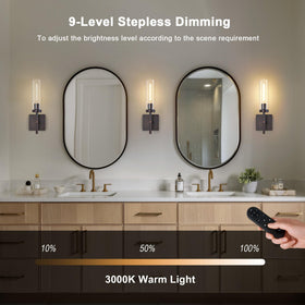 LED Edison bulbs included with SANTOSTOCK sconce for energy-efficient glow