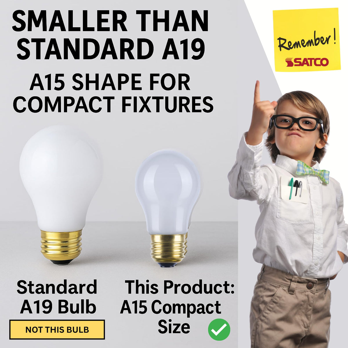 Satco S4881 frosted diffused light inside a fixture