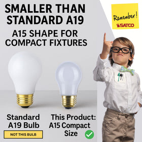 Satco S4881 frosted diffused light inside a fixture