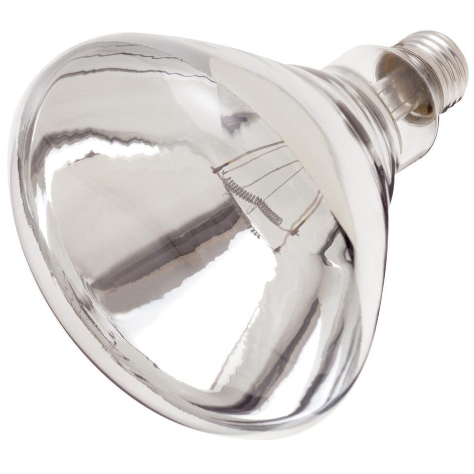 Satco S4885 250W R40 clear heat lamp bulb, shatterproof and long-lasting heat source for enclosures