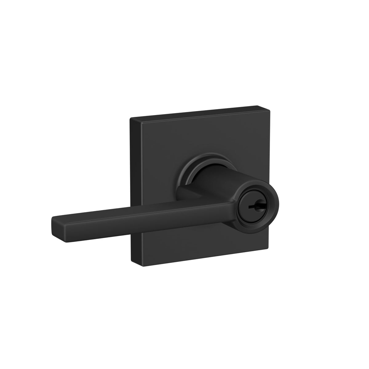 Schlage Latitude keyed-entry lever provides reliable exterior access.