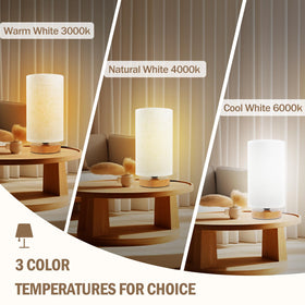 SEENSINY dimmable lamp shows three color temperatures for different tasks.
