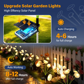 SEEWELUMI eight-led-brightness delivers strong illumination for night-time paths