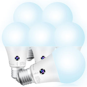 Sengled Dusk to Dawn outdoor bulb lights porch automatically at dusk for safety