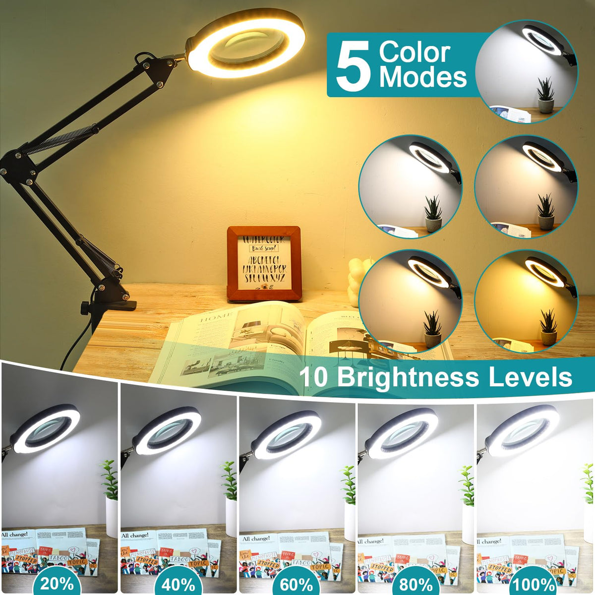 Seylae five color modes and dimmable LED lighting for adaptable project lighting