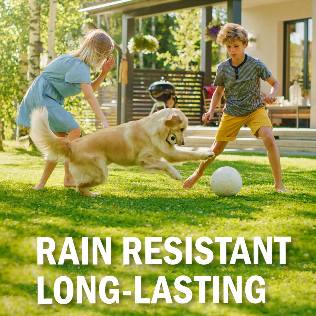 Seymour RENEW Pristine bottle for lawn application covering brown spots without harming plants