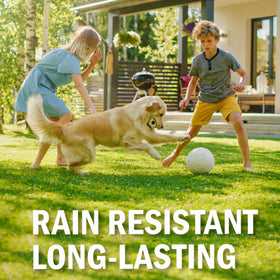 Seymour RENEW Pristine bottle for lawn application covering brown spots without harming plants