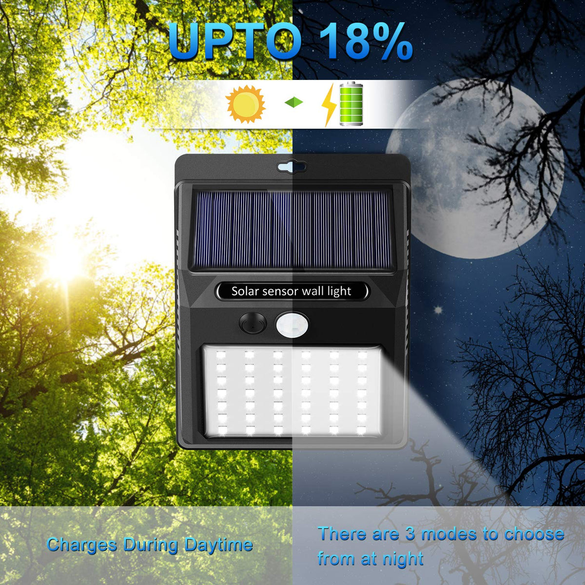 SEZAC lighting for garden and driveway improves nighttime visibility.