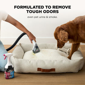 Shark EveryMess car interior clean shows effective debris removal.