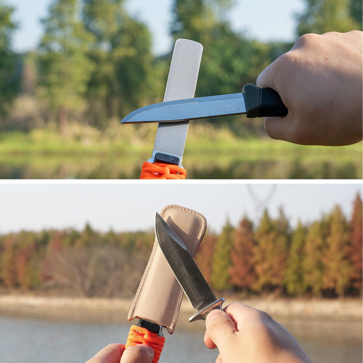 SHARPAL 181N all-material sharpening capabilities for diverse tools, dry use.