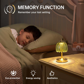 Shenmoyl Tulip lamp portable light for shelves and nightstands