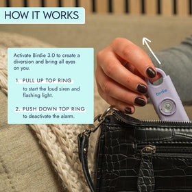 She’s Birdie 3.0 compact fits in your hand